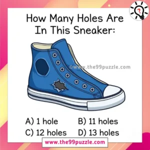 How many holes are in this sneaker? – Puzz601