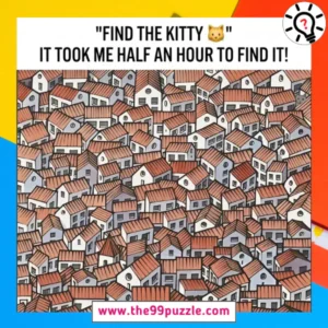 Find the kitty. It took me half an hour to find it - Puzz657 Find the kitty. It took me half an hour to find it