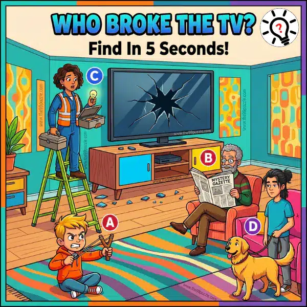 Who broke the TV? Who broke the TV?
