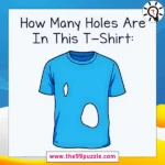 How many holes are in this T-Shirt? – Puzz558