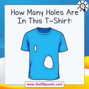 How many holes are in this T-Shirt?