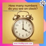 How many numbers do you see on the clock? – Puzz578