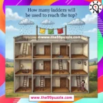 How many ladders will be used to reach the top? – Puzz580