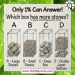 Which box has more stones? – Puzz599