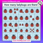 Optical Illusion: How many ladybugs are there? – Puzz625