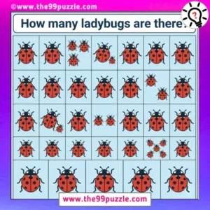 Optical Illusion: How many ladybugs are there?