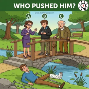 Who pushed him? – Puzz660
