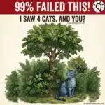 99% Fail This Visual Puzzle: How Many Cats Do You See? – Puzz698