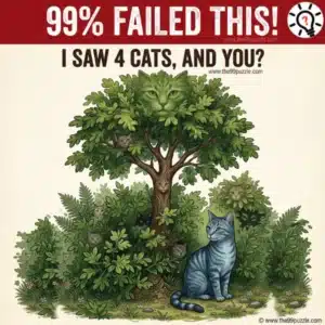 99% Fail This Visual Puzzle: How Many Cats Do You See?